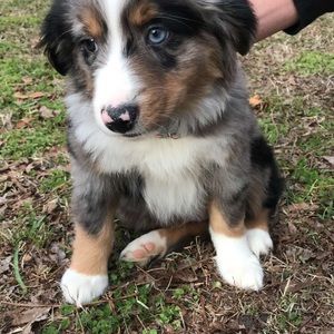 Meet your Posher, Rhett